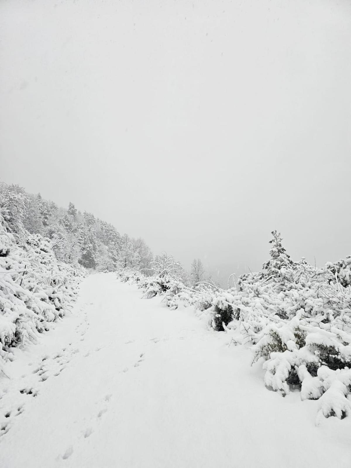 Saldes Pedraforca Apartment Bagian luar foto
